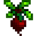 Beet