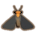 Firefly