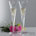 Personalized Crystal Champagne Flutes by Reed & Barton