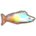 Rainbow Fish