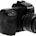 D50
