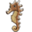 Jayakar's Seahorse