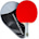 Palio Expert 3.0 Table Tennis Racket & Case