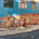 Graham Street. Central (Graffiti Art: 45-53)