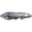 Lungfish