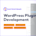 Custom WordPress Plugin Development Solutions