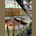 Kaha Island Stay