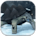 H15