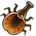 Violin Beetle