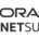 NetSuite ERP (Oracle)