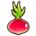 Shallot