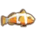 Clown Fish