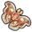 Atlas Moth