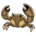 Stone Crab