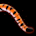 2022 Lunar New Year: Tiger