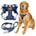 dog harness leash set