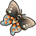 Pipevine Swallowtail