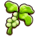 Brussel Sprouts