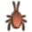 Cockroach