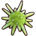 Green Urchin