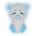 Baby Star Bear
