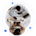 Content Marketing Services In USA