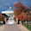 College of Staten Island