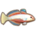 Empire Gudgeon