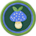 Advanced Mycology Badge
