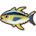 Yellowfin Tuna