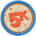 High Altitude Badge
