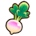 Turnip