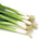 Green Onion
