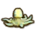 blue-ringed octopus