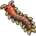 Centipede
