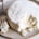 Queso Fresco