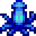 Midnight Squid