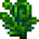 Fiddlehead Fern