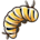 Monarch Caterpillar