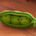 Peas-in-a-Pod