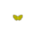 Grass Yellow Butterfly