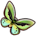 Birdwing Butterfly