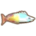 rainbow fish