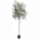 Faux Olive Tree