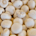 White Button Mushroom Spores