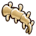 Brontosaurus Tail