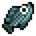 Striped Bass