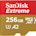 SD Card