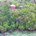 Siargao Million Dollar View Airbnb