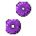 Purple Giant Diatom